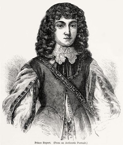 Principe Rupert (1619-82) da un ritratto autentico da English School